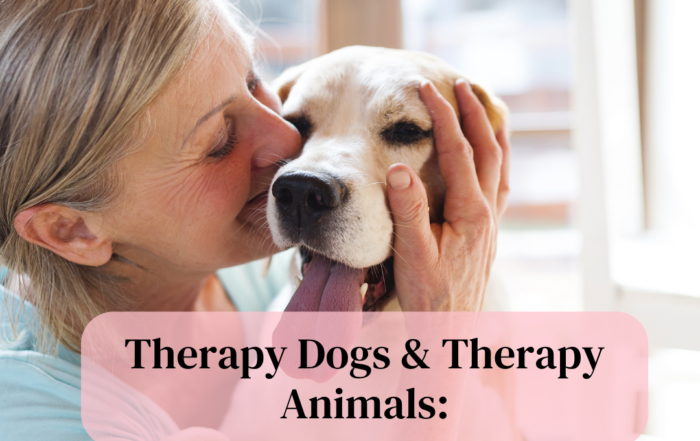 Therapy Dogs & Therapy Animals When Are They Used & How Do They Help