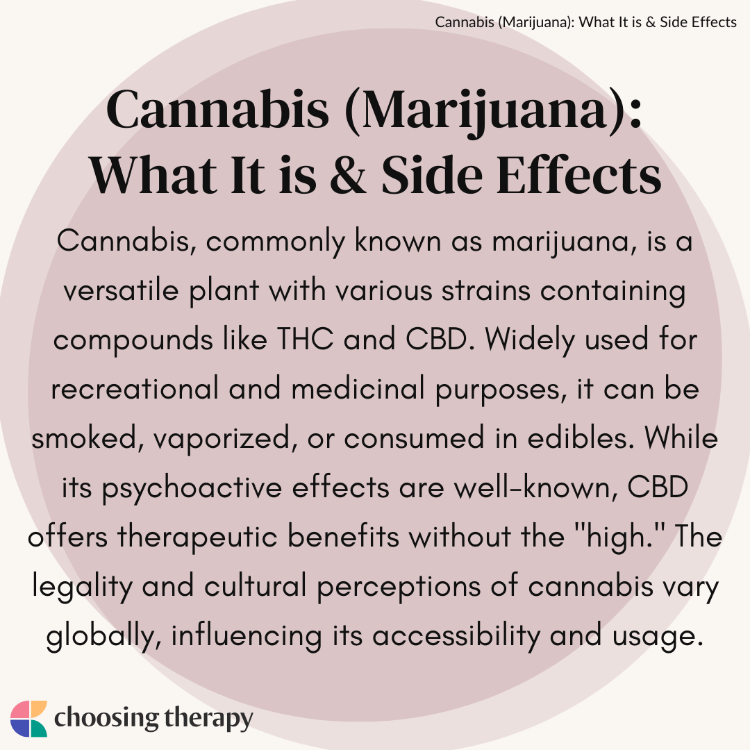 Cannabis (Marijuana) What It is & Side Effects