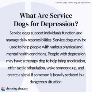 What Are Service Dogs for Depression?