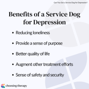 Benefits of a Service Dog for Depression
