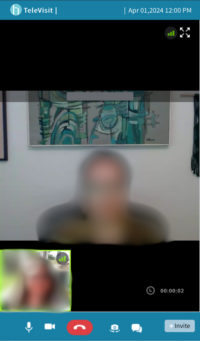 Screenshot of Talkiatry session with psychiatrist