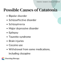 What is Catatonia?