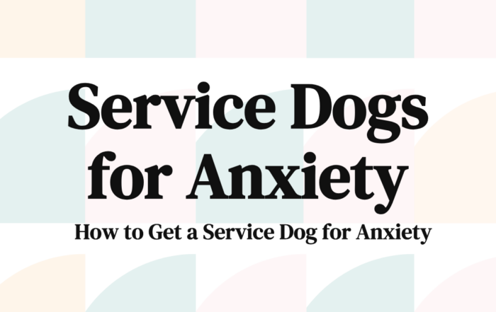 Service Dogs for Anxiety How to Get a Service Dog for Anxiety