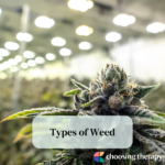 Types of Weed