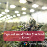 Types of Weed What You Need to Know
