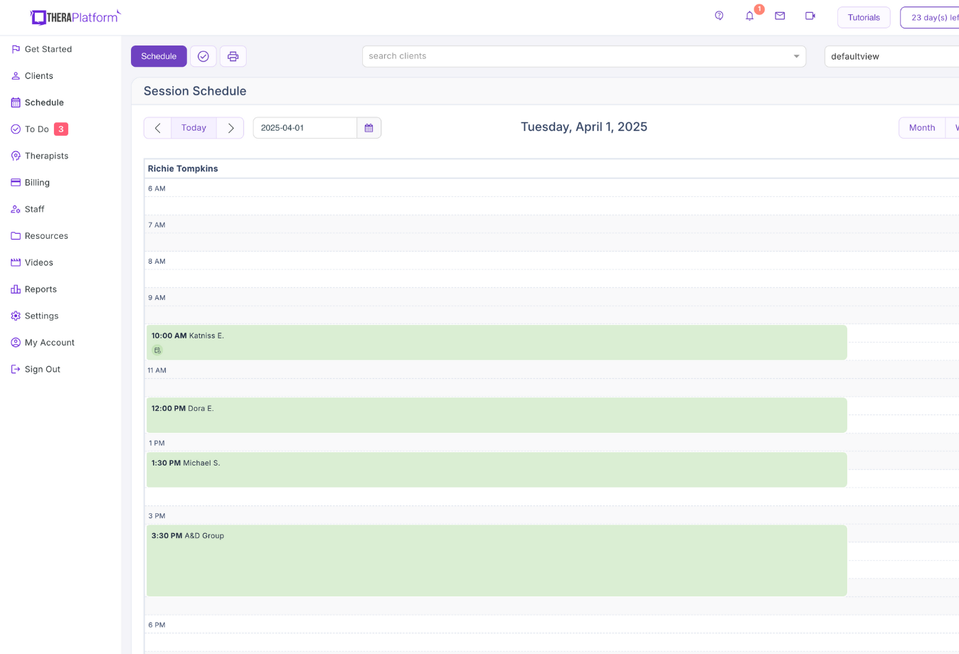 Image of TheraPlatform daily calendar view