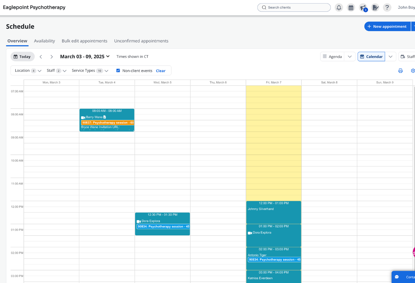 Image of TheraNest calendar view