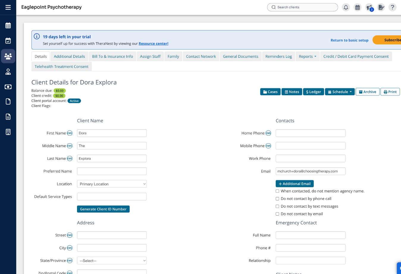 Image of TheraNest client page