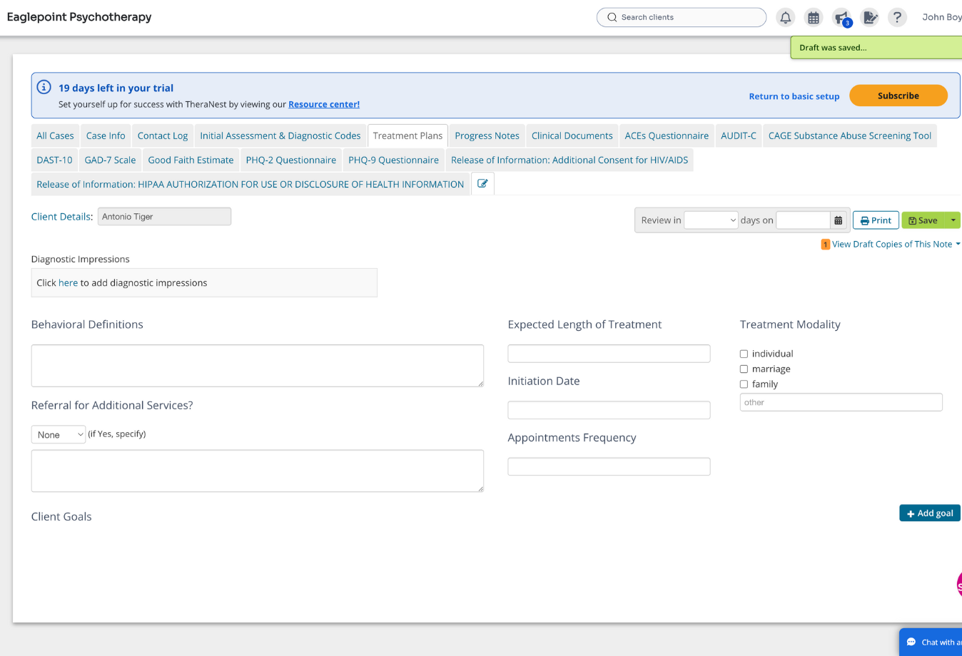 Image of TheraNest treatment plan template