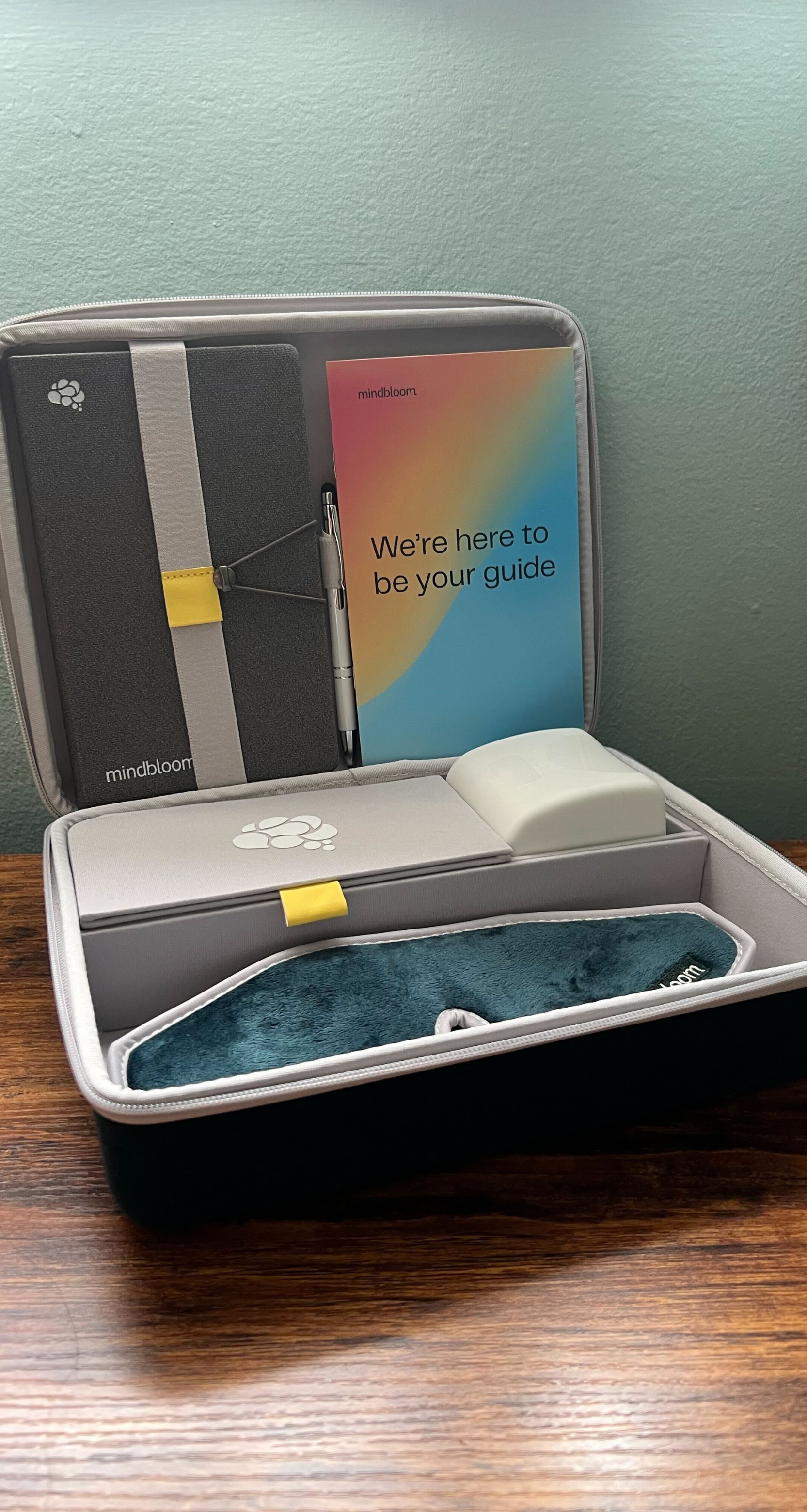 Photo of open Mindbloom Bloombox with contents