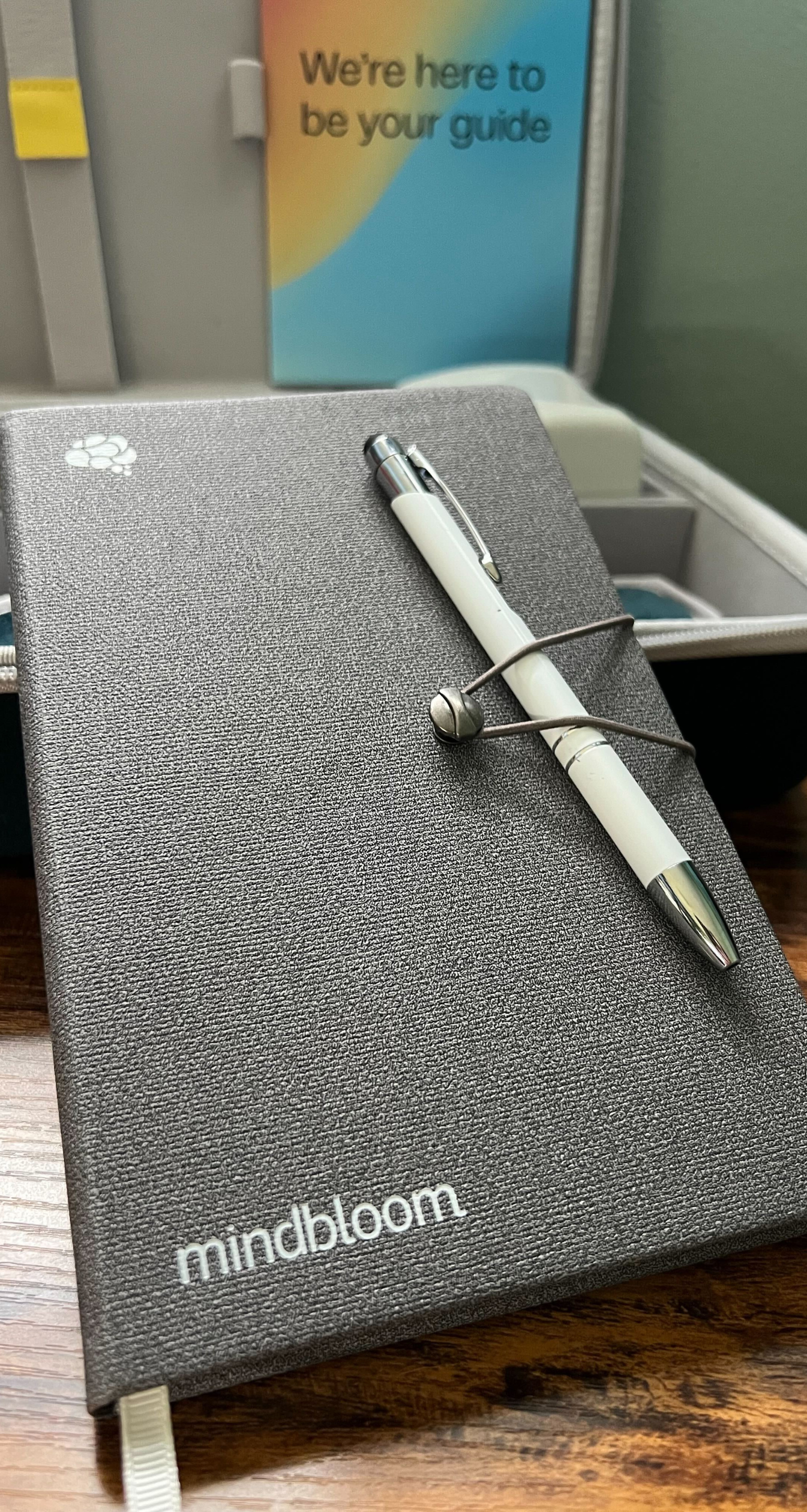 Photo of Mindbloom journal