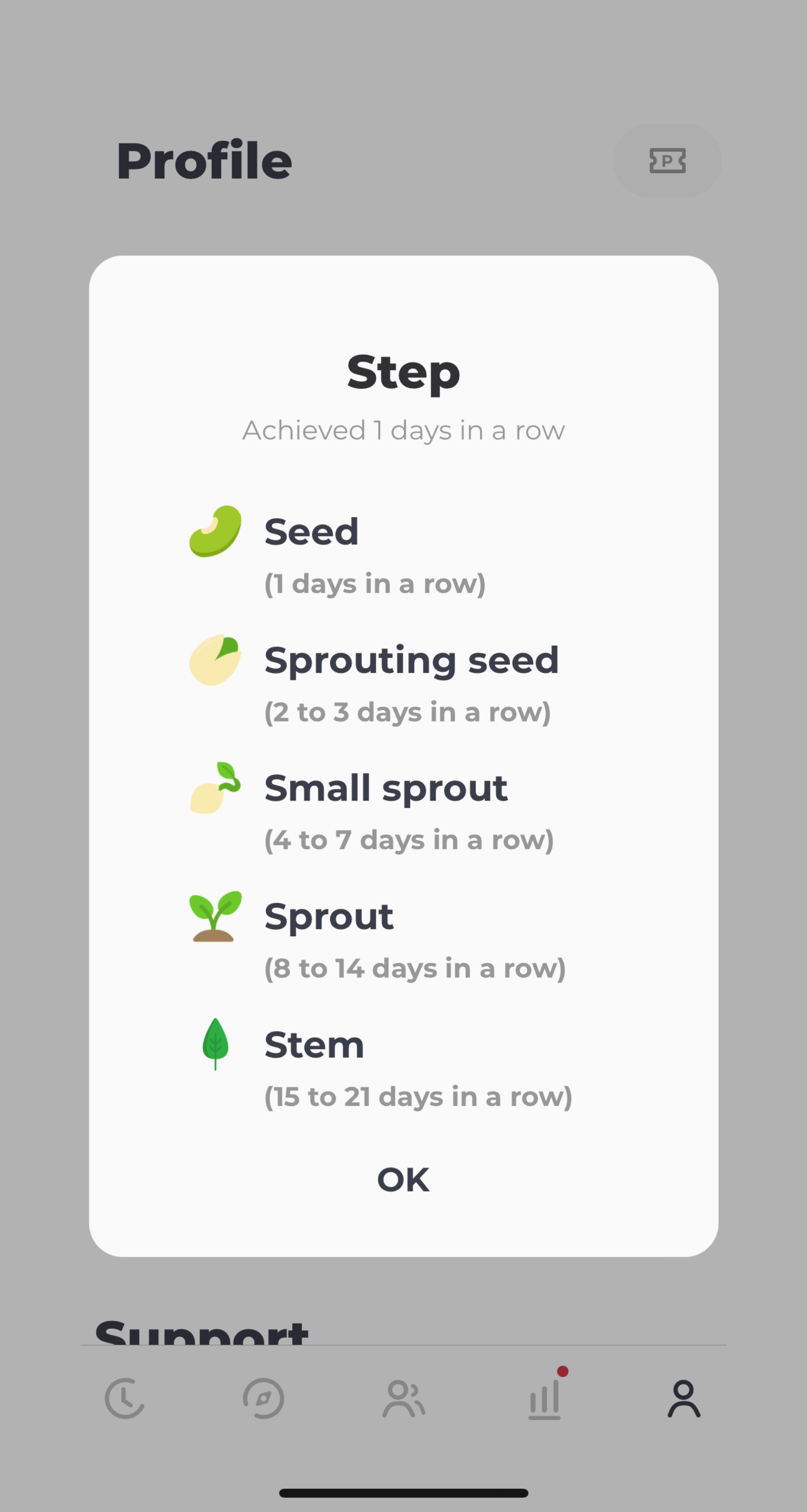 Screenshot of a user’s progress with streaks within the Routinery app