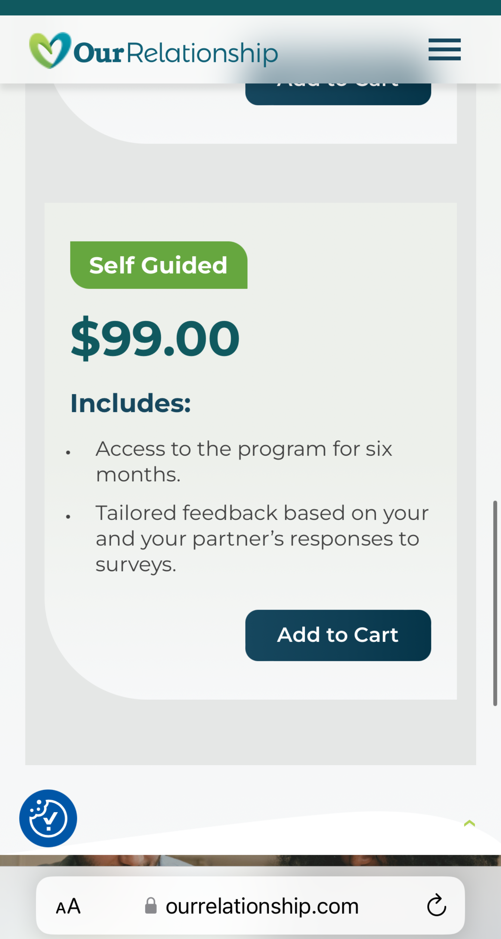 Screenshot of the price for the self-guided program structure