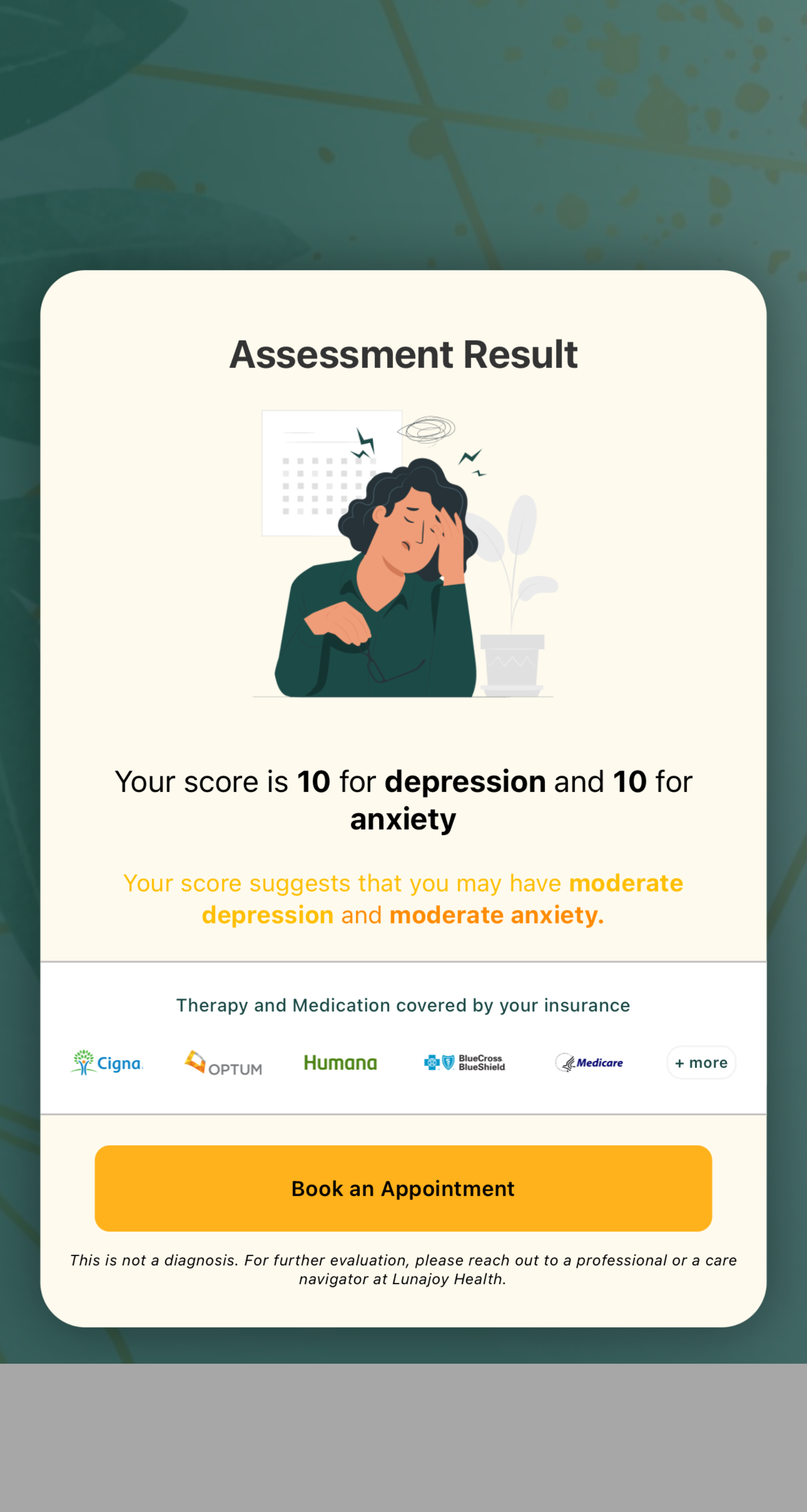 Image Assessment Result for LunaJoy
