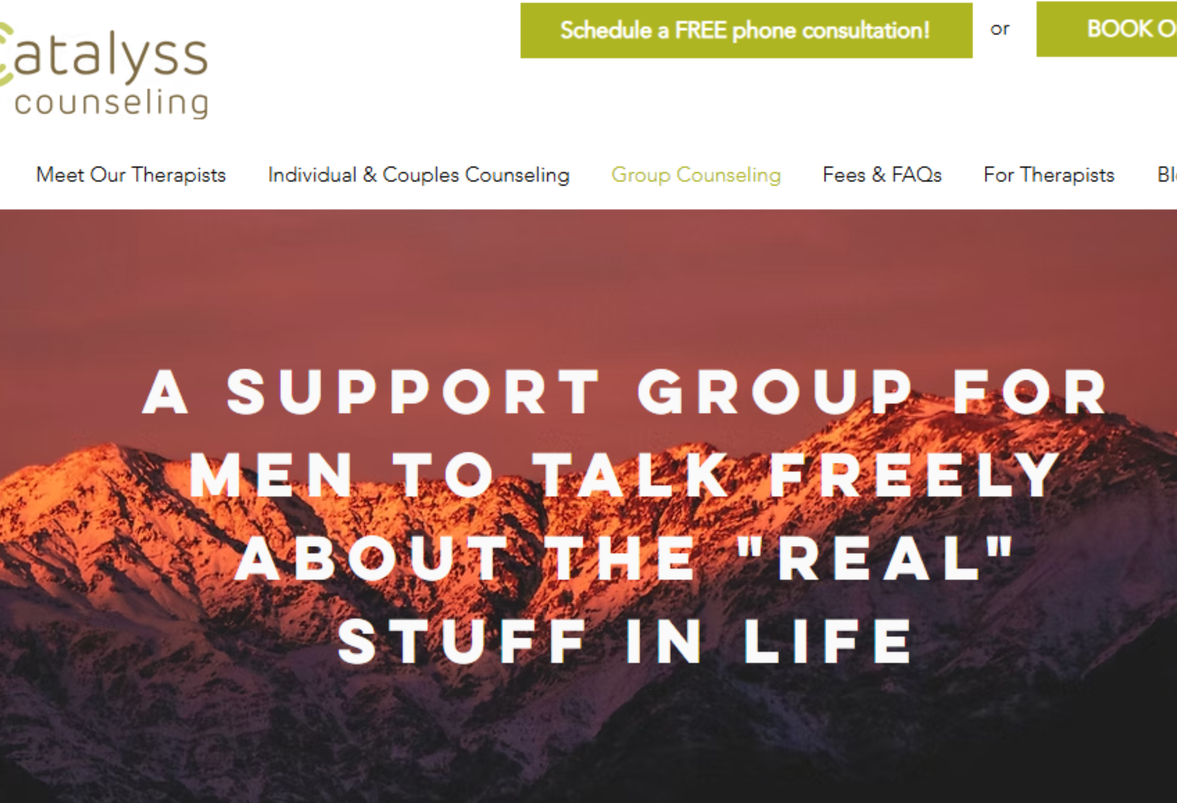 Catalyss counseling