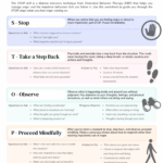 DBT STOP Skill Worksheet for Anger