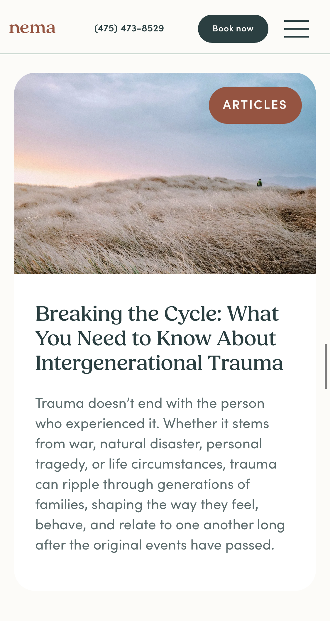 Nema Articles