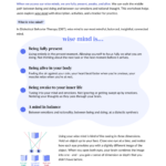 How to Practice Wise Mind Worksheet